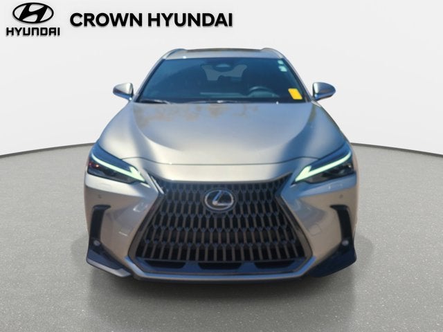 2025 Lexus NX 350 Luxury
