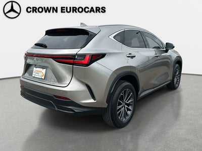 2023 Lexus NX 350 Premium