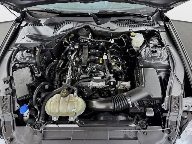 2022 Ford Mustang EcoBoost