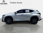 2024 Lexus NX NX 250 Premium